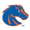 Boise State Broncos Team Icon