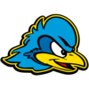 Delaware Team Icon