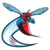 Delaware State (W) logo