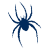 Richmond Spiders Team Icon