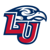 Liberty Team Icon